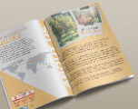katalog_ansu_gida